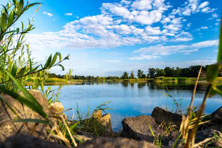 Colorful river "Odra" in Poland.
